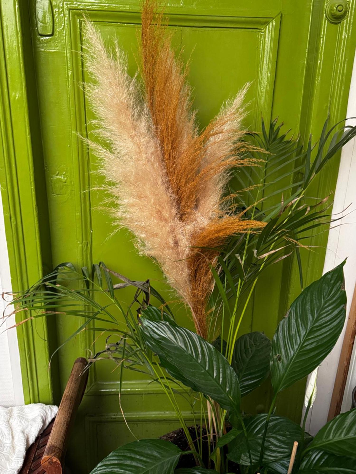 Most Charming Apartment Paris Center Extérieur photo